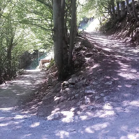 Apartament Rostagno *